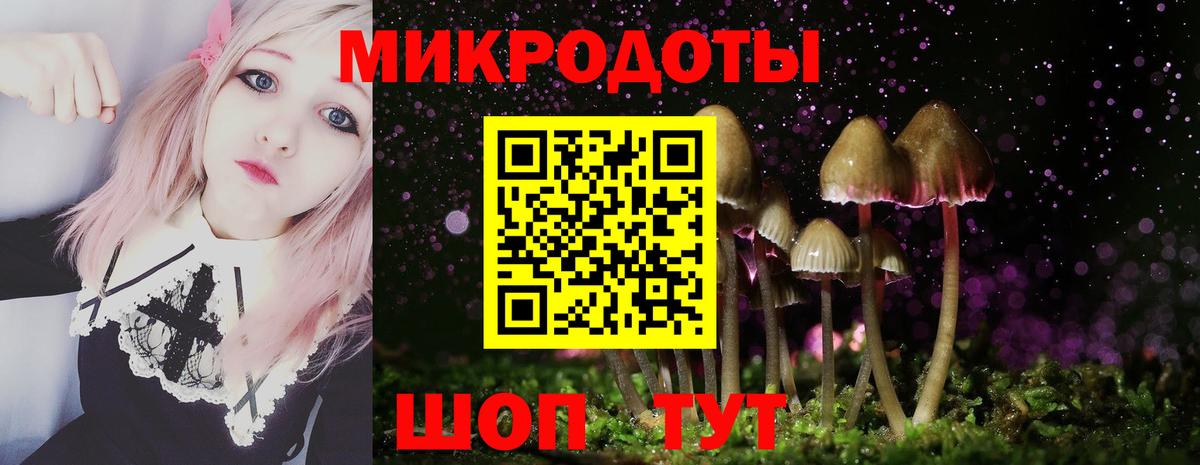 Псилоцибиновые грибы Psilocybe  Вход с VPN  Минеральные Воды  где купить наркоту  Галлюциногенные грибы Psilocybine cubensis 