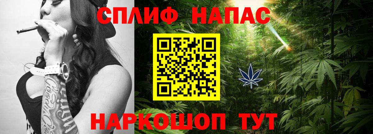 Шишки марихуана MAZAR Минеральные Воды